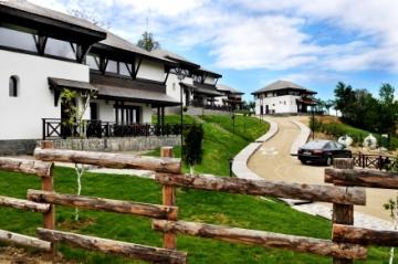 Satul Prunilor, vile de lux langa Sinaia